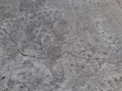 b97d1344-d659-4b23-946c-b62394bc9c29