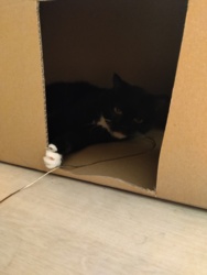 829534ec-2a0c-42a9-a8b0-0abad64a9d43