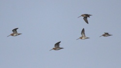 55a58ba3-7cfc-467c-a9bb-3aec5b1fbb30