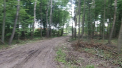 467f4d10-854a-491f-b546-bbecf8bad534