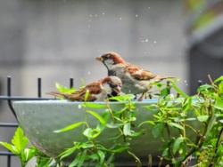 0eb7b9e8-db31-426e-a015-6c6c97ad1e1c