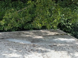 2340c0ac-a928-41f8-92d1-33faae5fbd8d