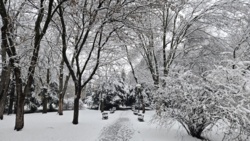 3e422f6b-5e21-4b7d-ab56-cea81204de8b