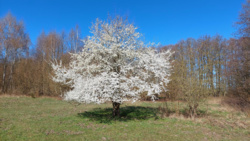 71a6d31c-4486-4f68-bcb6-5b2f36bb2afa