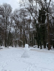 3b8276b4-d777-484b-b687-6a2b8559b03a