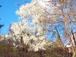 511d52f0-1040-4ff9-b4cf-2701bfe29268