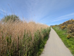 30d3f88a-9c0e-4caa-ac12-0ee00236a7f9