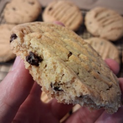 99fbffec-9842-4dde-be13-baab04e0529f