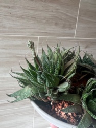 13454d73-4630-4d06-82bc-230cff2e136c