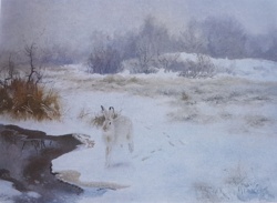 34099812-b75b-4656-ae75-dffae3e469e5