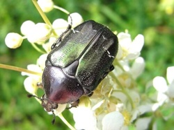 aff29b52-79b3-441e-bd53-3605af97d4aa