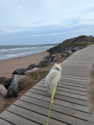 d60437e2-4cb2-49df-a2b9-f2d3d89818cf