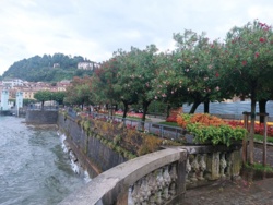 6029c762-06dd-403e-807b-e28cff9b5119