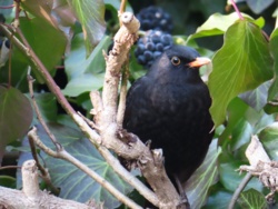 aad5ef61-dbae-497c-a33e-dcd8e5cbf518