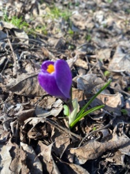 d60dfda3-00ba-4dbd-beb2-103e78808962