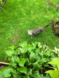 b51f9e4d-975d-4dbf-bf35-829e9e268be1