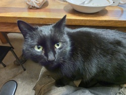 571db25f-7ed4-4c00-b05d-cb7ae63b29c0