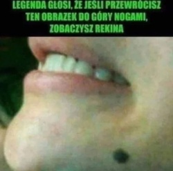 4e39750f-7cea-4c04-a842-8713e74a358a