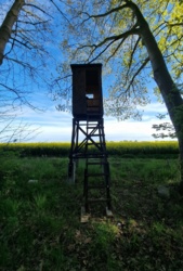 ecc22cff-de9a-4528-b991-0668750d68a8