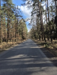 a64f4d12-29cc-469f-b13e-6d954907537a