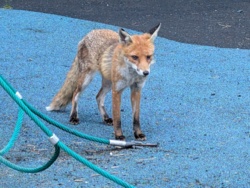 5b2e0c2d-fcab-46d2-b00f-907a6de34a23