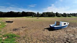 W Polsce może zabraknąć wody. Mamy jej znacznie mniej niż reszta Europy. Przez upały jest tylko gorzej