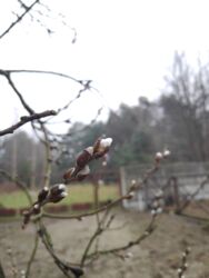 40e6dfdd-5640-4b35-8f7b-e765ad2b87e5