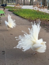 b7ef3b4e-7d9a-4072-9f7a-e4f3a3bbf8e2