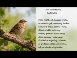 Ratunku Jan Twardowski Poezje Wiersze | Poezja Dla Duszy