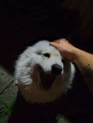 2febad11-d3a3-456f-99df-1a3a27368aff