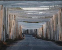 cd5cb52e-2530-4560-9ec1-5fa8193e0240