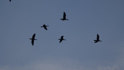 61992683-a5ef-4b77-81cc-077da9c162a3