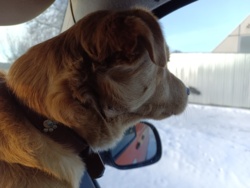 78e245f3-6ecd-4dc0-9514-5dce796b4254