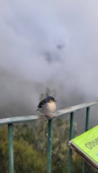 98e6ee6c-a81a-4726-8cb7-a9336d97f2b8