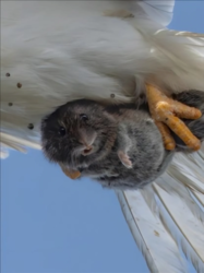 e2796b4c-b148-4ed5-90ee-328588019492