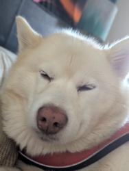 6d3eb7e7-1a00-44a4-bf5c-a2c3f068c2b5