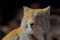 8ade47e5-c633-4924-9f5a-32f83e825df6