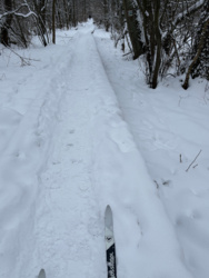 fc04495b-2891-4fce-b6a1-a7bbda8e0f30