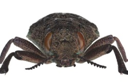 485f1c46-ce12-4c75-8922-c0fb923f3060