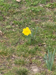 066a32ba-e8c1-4d90-99c7-9a73d24347e5