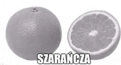 5e200c26-9b50-402f-b011-579598cbf4c7