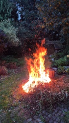 0239b63b-f401-4bad-a8f8-fa8cc44a3ddc