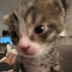 8327ee2f-11cd-4aa9-8a1d-6ecb891bd5f0