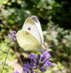 3e31a074-6c58-4a2b-8011-1e374b7f6b42