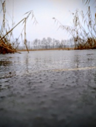 4a5aa0e0-c608-43f8-8d33-75eb617315cc