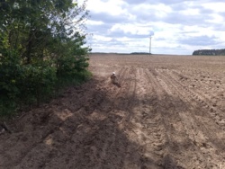 cc2628ee-915b-47e7-9905-322e1a4867c8