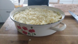 0e65f31f-5684-40a7-943a-dcb6ea2dd367