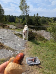 52f147a8-30d5-472e-ad56-2980497ffeaf