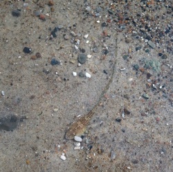 44d3db34-fa97-4a93-9f4c-837c853f679e