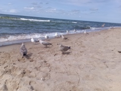 873054f2-f19b-4f60-8990-e0e26f21b24b